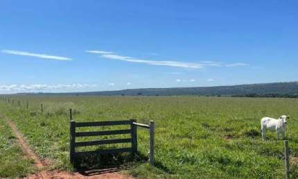 Fazenda à venda na Área Rural, sn, Área Rural de Rondonópolis, Rondonópolis
