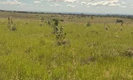 Fazenda à venda na Avenida Tenente-Coronel Duarte, Centro Sul, Cuiabá