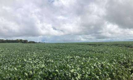 Fazenda à venda na ÁRea Rural, Zona Rural, Sorriso