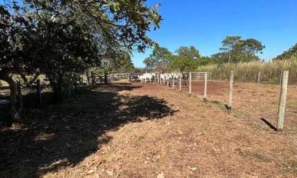 Chácara / sítio com 4 quartos à venda na Zona Rural Rosario Oeste, 10000, Zona Rural, Rosário Oeste