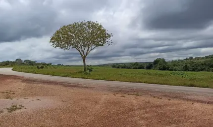 Fazenda entre os municipios de Campo Verde e Nova Brasilandia