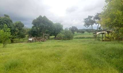 Chácara / sítio com 3 quartos à venda na Zona Rural, Guia, Cuiabá