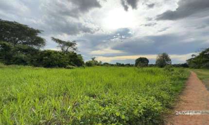 Fazenda 1000 hectares em Mato-Grosso, com aptidão à pecuária
