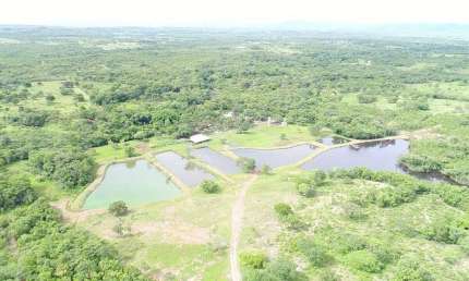 Vendo sítio turismo/rural piscicultura 34 hectares casa sede 7 tanques