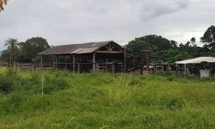Imóvel à Venda Propriedade Rural - NS de Livramento - 54 km de Cuiabá