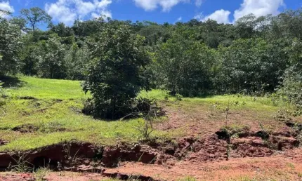 Fazenda para Pecuária Campo Verde Mato Grosso de 714 Hectares