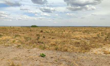OPORTUNIDADE Fazenda em Campo Verde Mato Grosso de 1300 Hectares