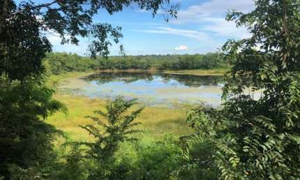 Fazenda na Região de Cuiabá, Mato Grosso de 2898 Hectares