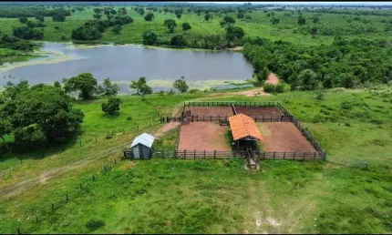 Fazenda a Venda de 646 Hectares próxima a Cuiabá, MT