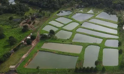 Chácara / sítio à venda na Zona Rural, Nova Olímpia 