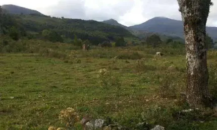 Chácara com 105hectares em Caráa-com luz,potreiros, 4 açudes e internett