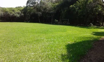 Lote/Terreno para venda com 42.000 metros quadrados em Belém Velho - Porto Alegre - RS