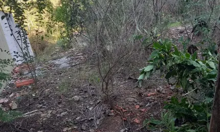Terreno 12×25m, escriturado, ideal para moradia ou pavilhão  , bem localizado.
