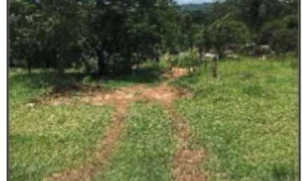 Terreno à venda na Estrada Das Aroeiras, 1101 c, Parque São Martinho, Mogi das Cruzes