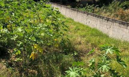 Terreno residencial para Venda Vila Oliveira, Mogi das Cruzes