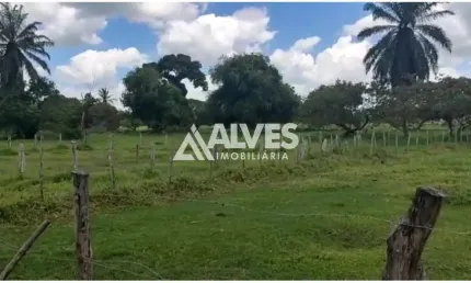 Fazenda à venda na Zona Rural, Serra Preta 