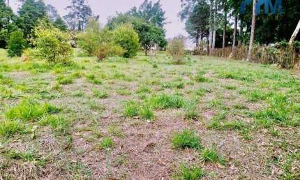 Terreno à venda, 5349 m² por R$ 1.300.000,00 - Pinheirinho - Itu/SP
