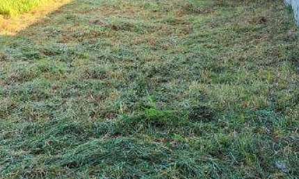 Terreno à venda na Avenida Doutor Lisboa, Bela Itália, Pouso Alegre