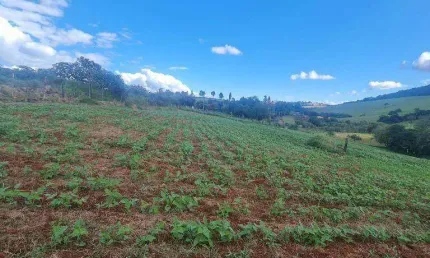 Terreno à venda na Avenida Doutor Lisboa, Jardim Aeroporto, Pouso Alegre, 20000 m2 por R$ 1.100.000