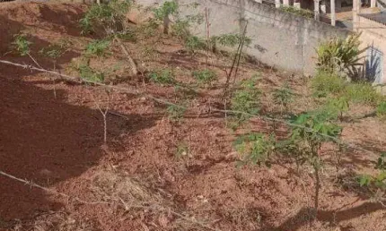 Terreno à venda, 150 m² por R$ 115.500,00 - Faisqueira - Pouso Alegre/MG