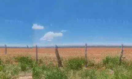 Terreno à venda, 20000 m² por R$ 8.000.000,00 - Algodão - Pouso Alegre/MG