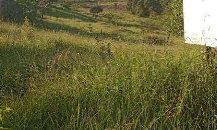 Terreno à venda, 240 m² por R$ 94.000,00 - Pitangueiras - Pouso Alegre/MG
