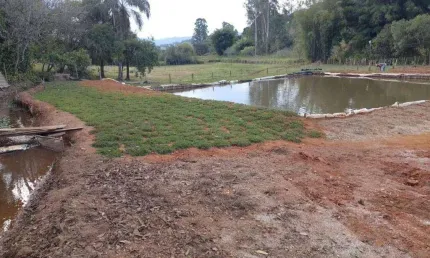 Chácara com 1 dormitório à venda, 3133 m² por R$ 430.000,00 - Afonsos - Pouso Alegre/MG