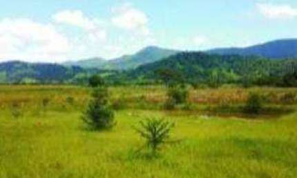 Terreno à venda, 3000 m² por R$ 320.000 - Cervo - Pouso Alegre/MG