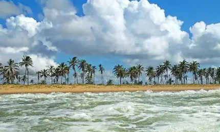 Terreno à venda na Rodovia José de Campos, Costa Paradiso, Barra dos Coqueiros