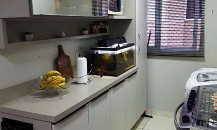 vendo apartamento semi mobiliado c/ 2 quartos, condomínio residencial izabel, marialva