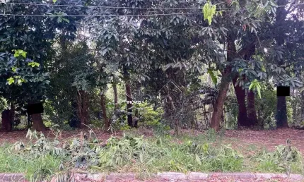 Terreno à venda em Caieiras-SP,  bairro Crisciuma com 295,12m² !