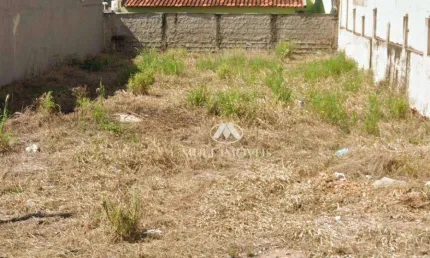 Oportunidade Única: Terreno Misto próximo Av. Portugal