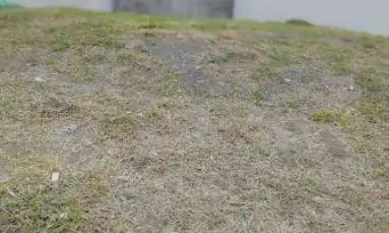 Terreno à venda, 300 m² por R$ 450.000,00 - Jardins Di Roma - Indaiatuba/SP
