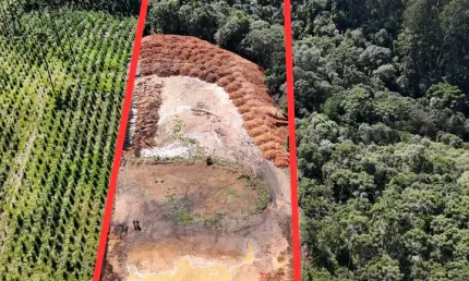 Terreno Industrial em São Bento do Sul – Excelente Localização!