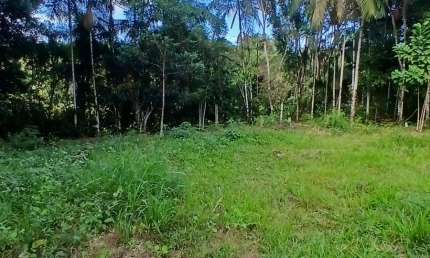 Terreno à venda na Zona Rural, São João do Itaperiú 