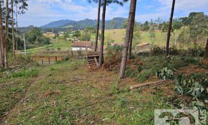 Chácara para Venda em Campo Alegre, Bateias de Baixo