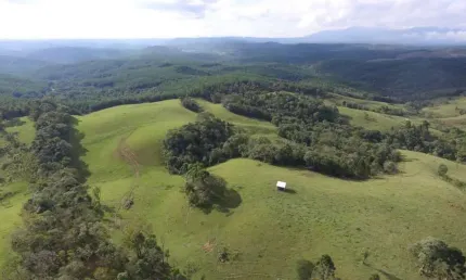 Chácara / sítio à venda no Cubatão, Campo Alegre 