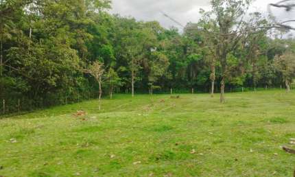 Chácara / sítio à venda na Estrada Blumenau, Vila Nova, Joinville