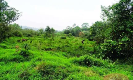 Terreno à venda, 4838 m² - Jardim Restinga - Suzano/SP