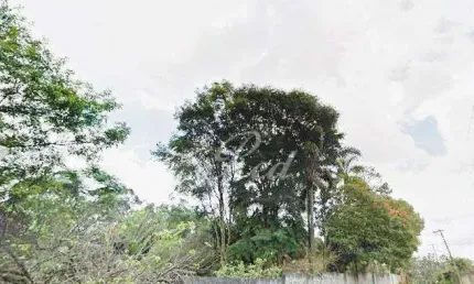 Terreno à venda, 1000 m² por R$ 850.000,00 - Chácaras Reunidas Guaio - Suzano/SP