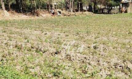 Área à venda, 4989 m² por R$ 1.500.000,00 - Meu Cantinho - Suzano/SP