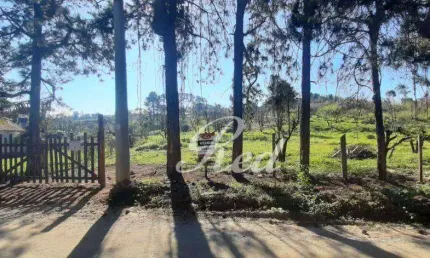 Terreno à venda, 9500 m² por R$ 1.460.000,00 - Chácaras Ceres - Suzano/SP