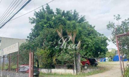 Terreno para alugar, 605 m² por R$ 10.267,18/mês - Vila Figueira - Suzano/SP