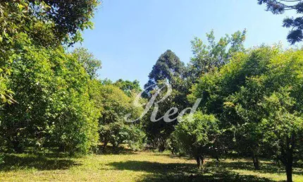 Chácara com 3 dormitórios à venda, 7485 m² por R$ 570.000,00 - Estância São Luís - Suzano/SP