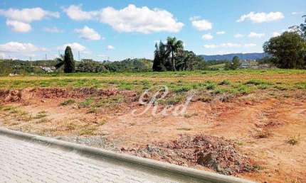 Terreno à venda, 300 m² por R$ 380.000,00 - Vila Oliveira - Mogi das Cruzes/SP