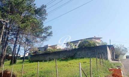 Terreno à venda, 216 m² por R$ 220.000,00 - Cidade Edson - Suzano/SP