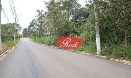 Área ZUP 1 à venda, 10775 m² por R$ 2.800.000 - Chácara Primavera - Suzano/SP
