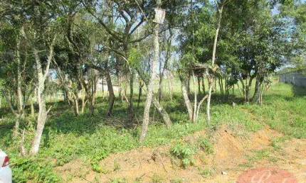 Terreno à venda, 36155 m² por R$ 1.900.000,00 - Vila São Pedro - Suzano/SP