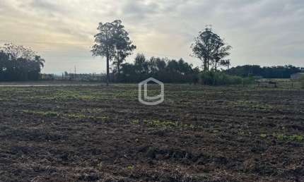 Fazenda à venda na Donato Valvassori, 444, Zona Rural, Içara