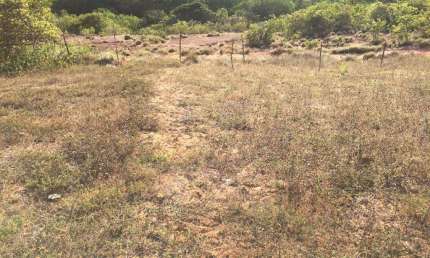 Terreno em Pirangi com 4,6 hectares em Pirangi do Norte